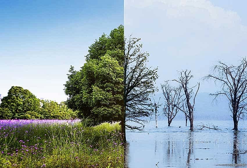 İklim Değişikliğine Karşı Dayanıklı Şehirler
